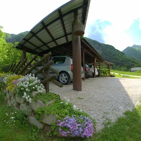 Lejlighed Apartma Bel