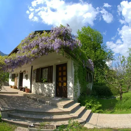 Apartment Apartma Bel