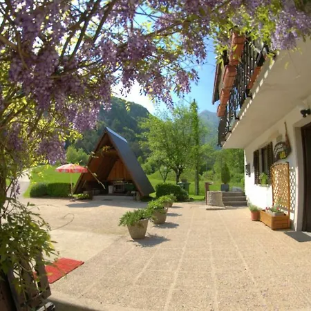 Apartma Bel Apartment