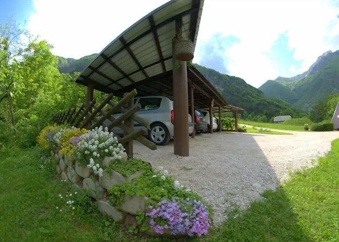 Apartment Apartma Bel