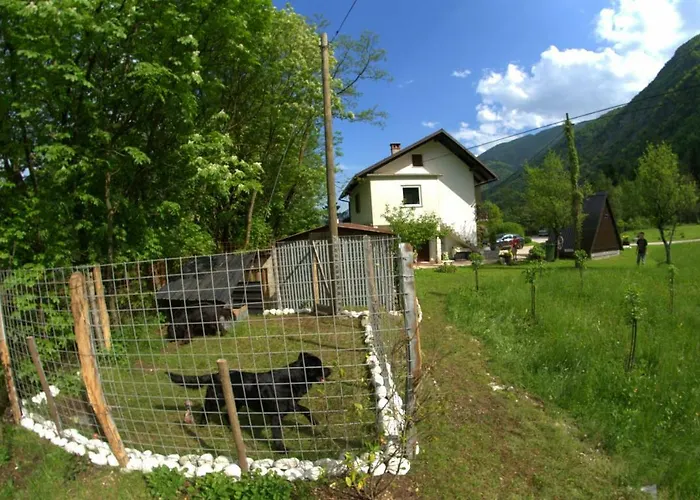 Apartma Bel Apartment *