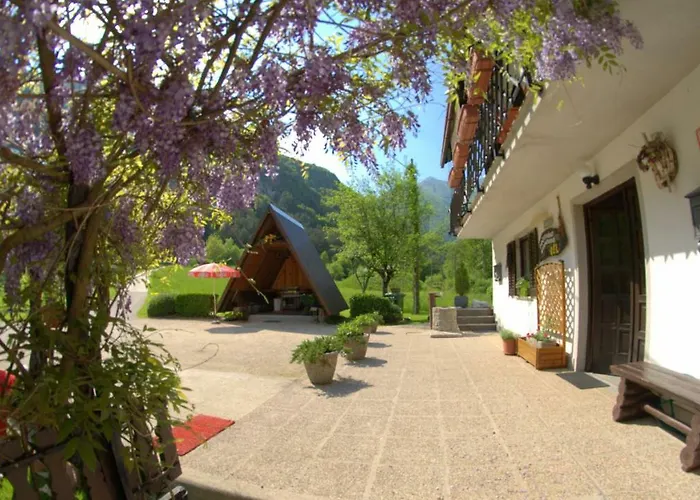 Apartma Bel Apartment